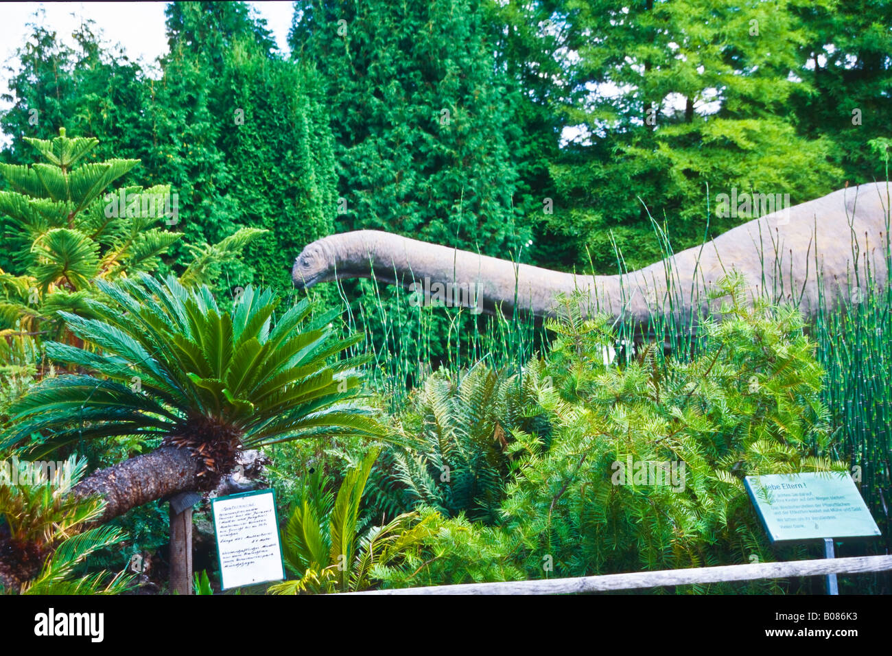 Dinosaur in Arbotetum Ellerhoop Stock Photo