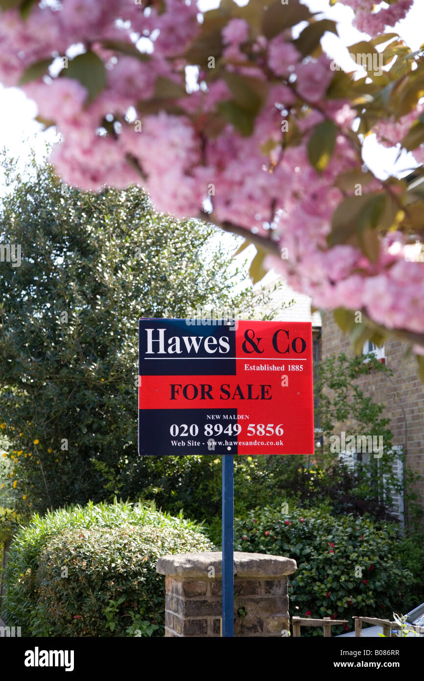 Estate Estate Agents sign and Cherry Blossom Tree in London Suburban Street Stock Photo
