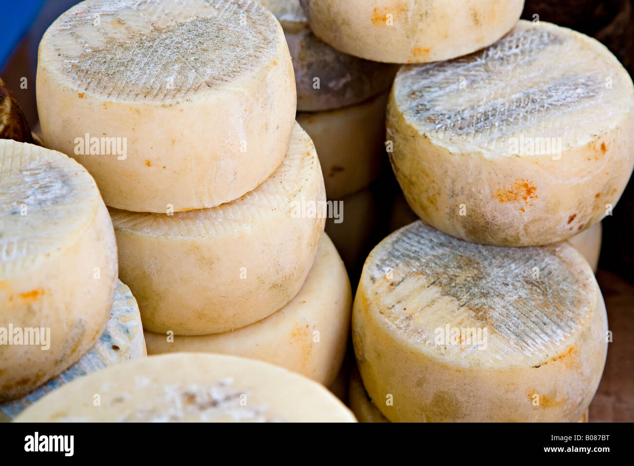 Hand made local cheeses  Flor de Guia made from sheep and goat's milk sold in Sunday market Teror "Gran Canaria" Spain Stock Photo