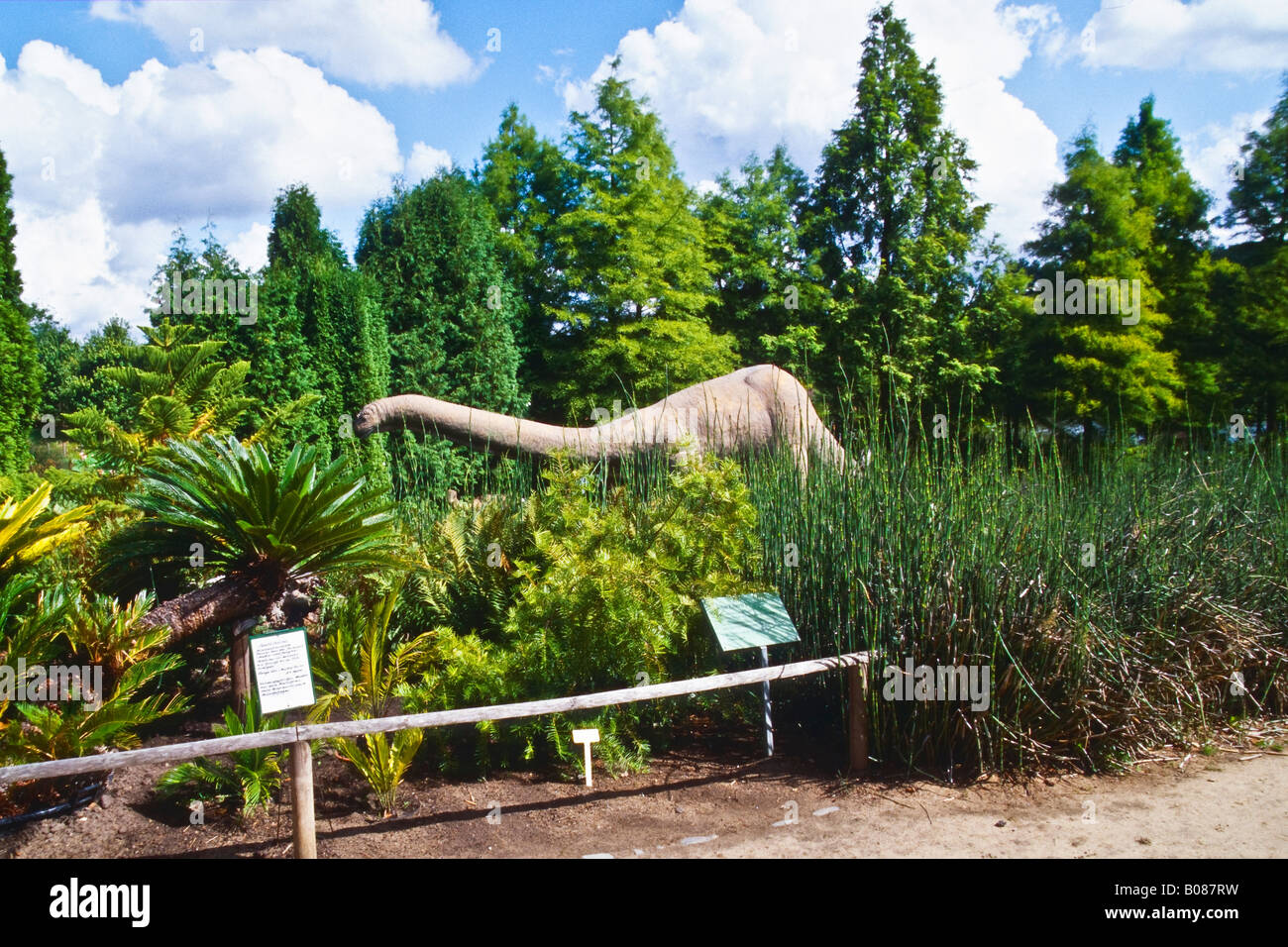 Dinosaur in Arbotetum Ellerhoop Stock Photo