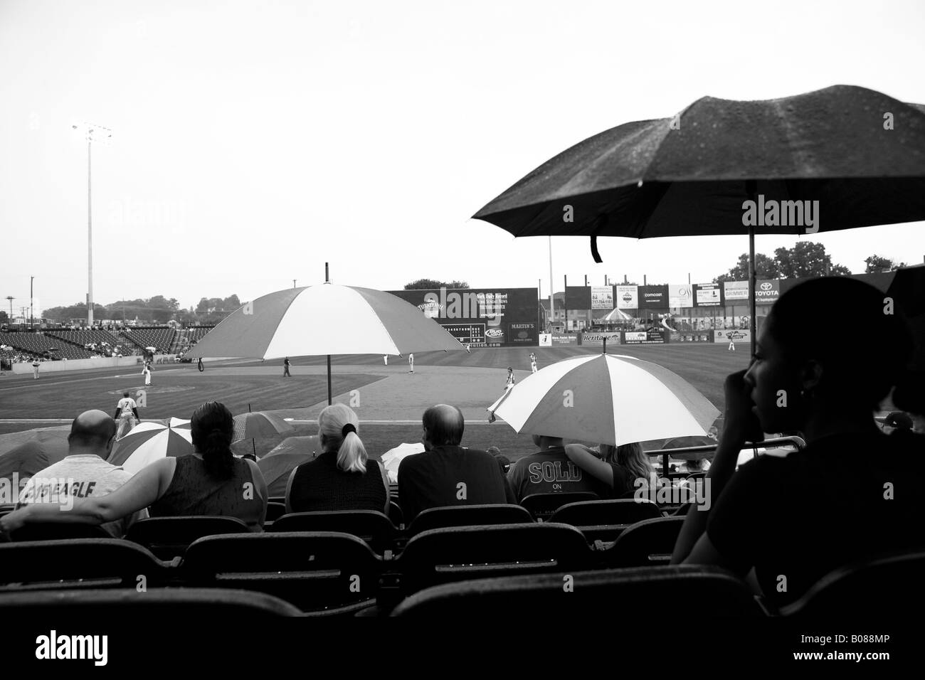 Baseball fans with umbrellas in the rain at the staduim Stock Photo