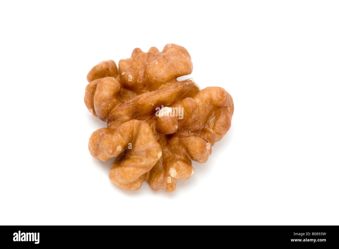 object on white food walnut macro Stock Photo - Alamy
