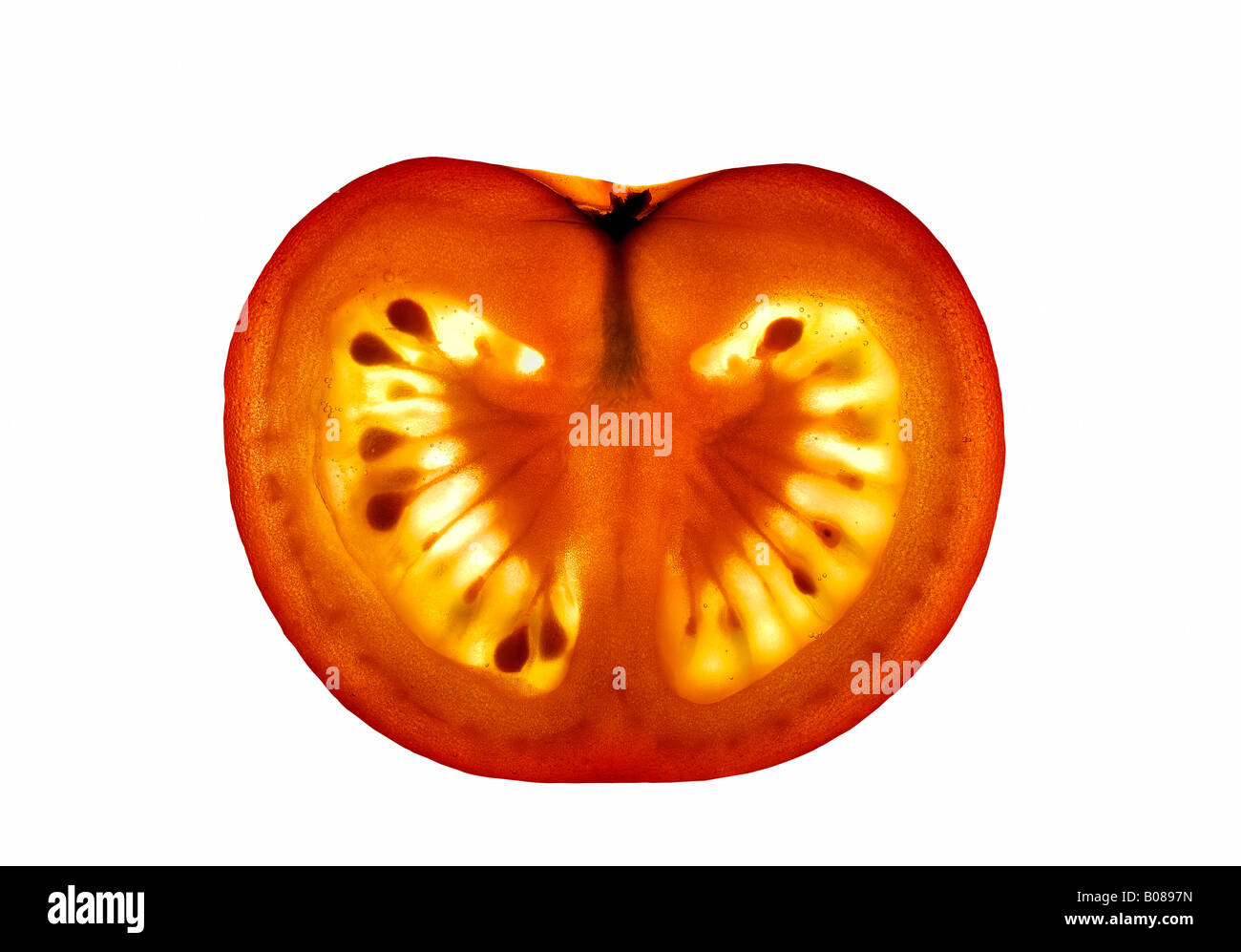 Slice of Tomato backlit to show internal structure Stock Photo