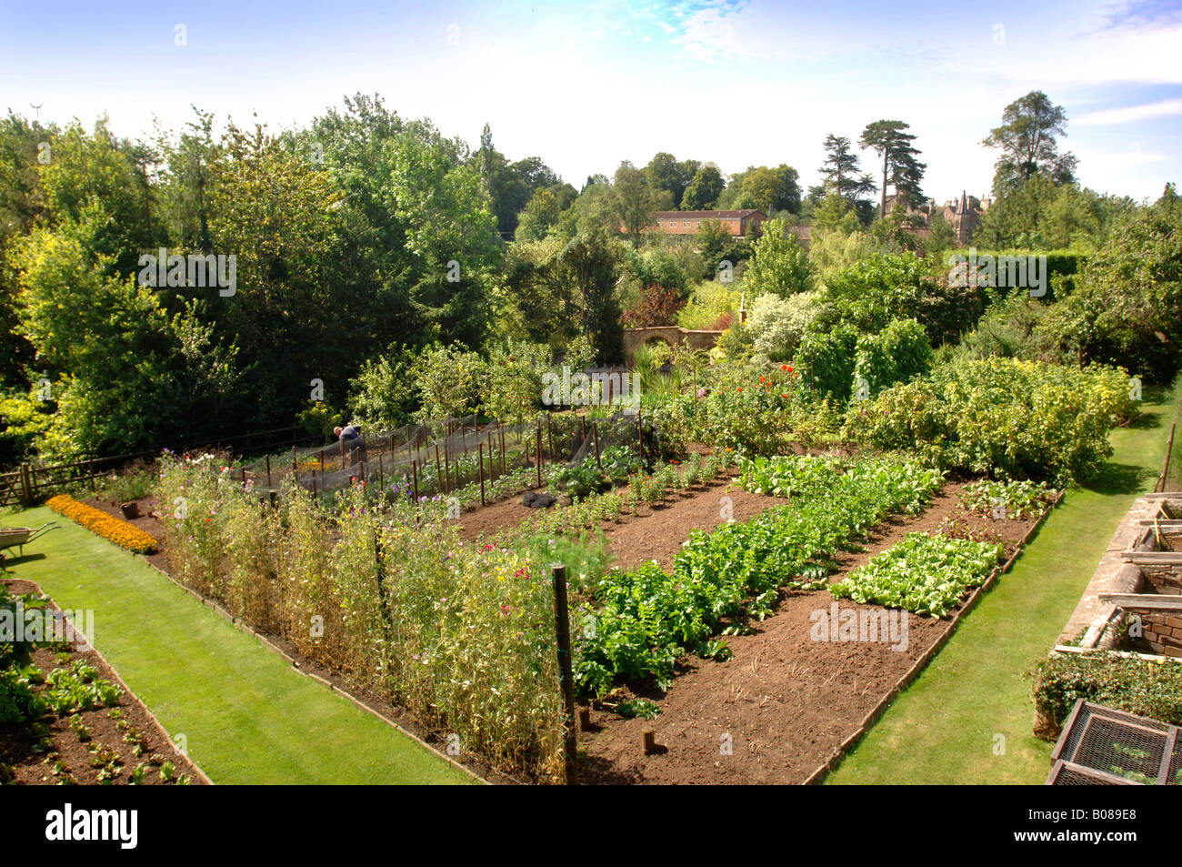 A VICTORIAN WALLED VEGETABLE GARDEN IN A WEST OF ENGLAND GARDEN UK