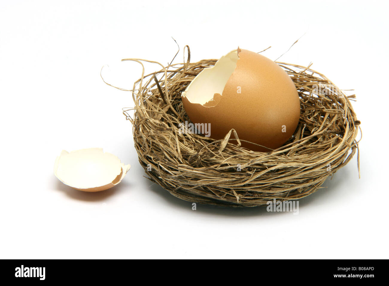 broken egg in nest isolated on white background Stock Photo