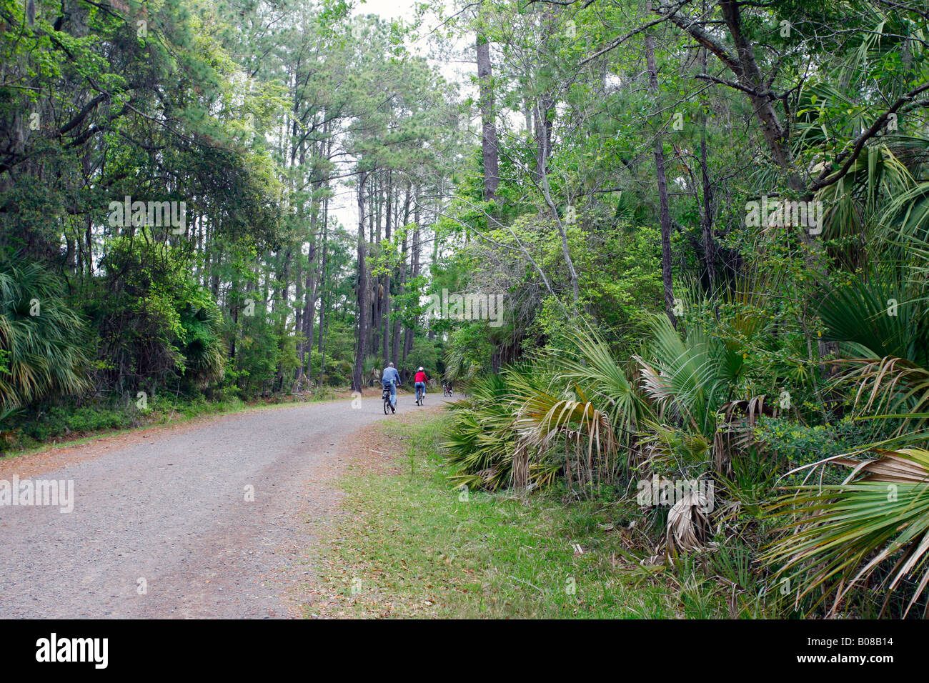 Family riding bikes on Pinckney Island National Wildlife Refuge, Hilton