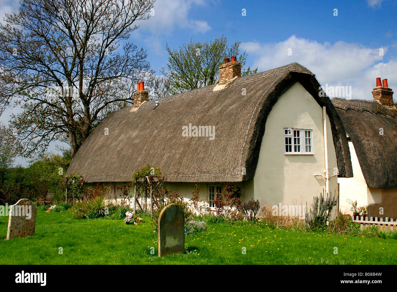 Stone built White Thatched Cottage Wistow village Cambridgeshire England Britain UK Stock Photo