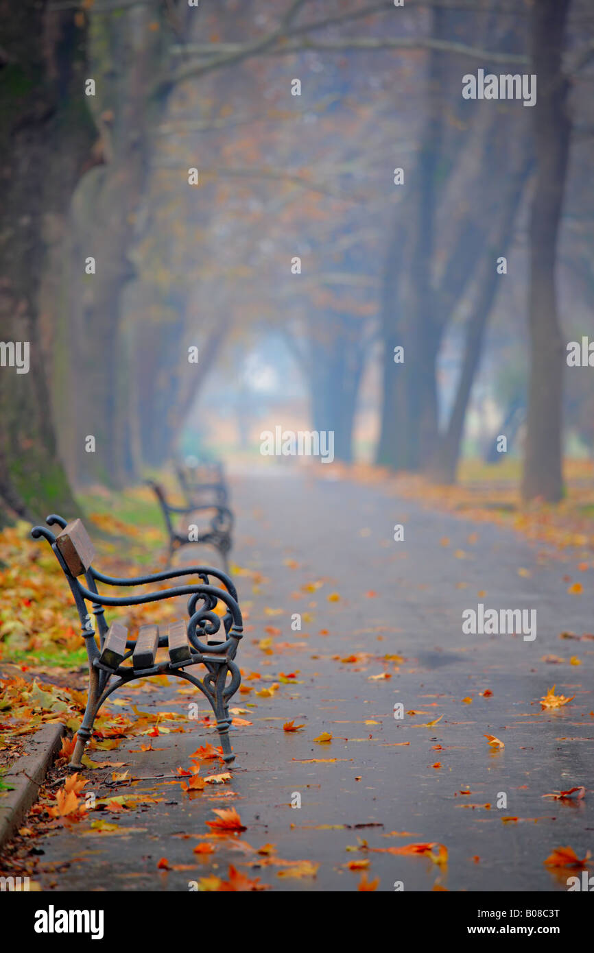 Empty park bench in the fallen autumn leaves hi-res stock photography ...