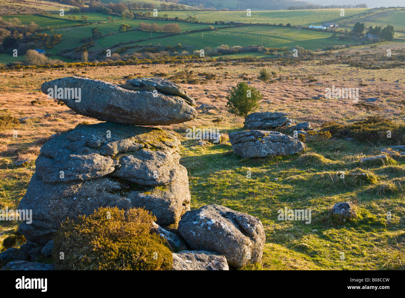 Granite outcrops on Hayne Down in Dartmoor National Park Devon England Stock Photo