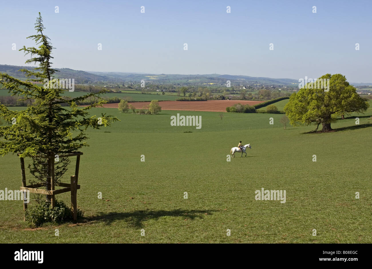 Devon countryside near Killerton, looking west towards Dartmoor Stock Photo