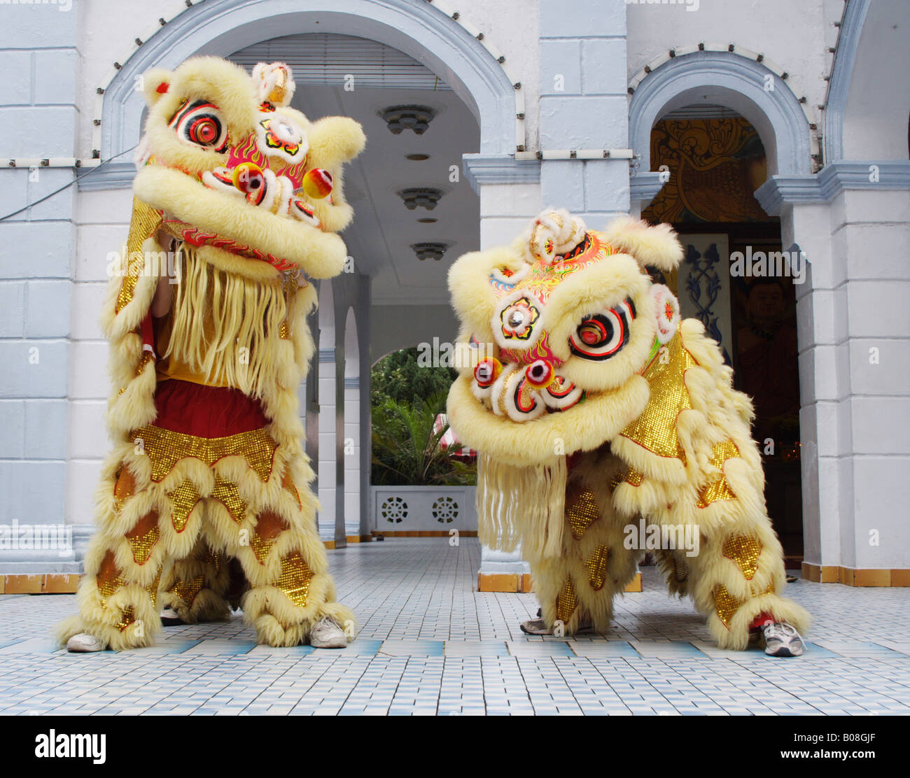 Lion dance during Chinese New Year celebration Stock Photo - Alamy
