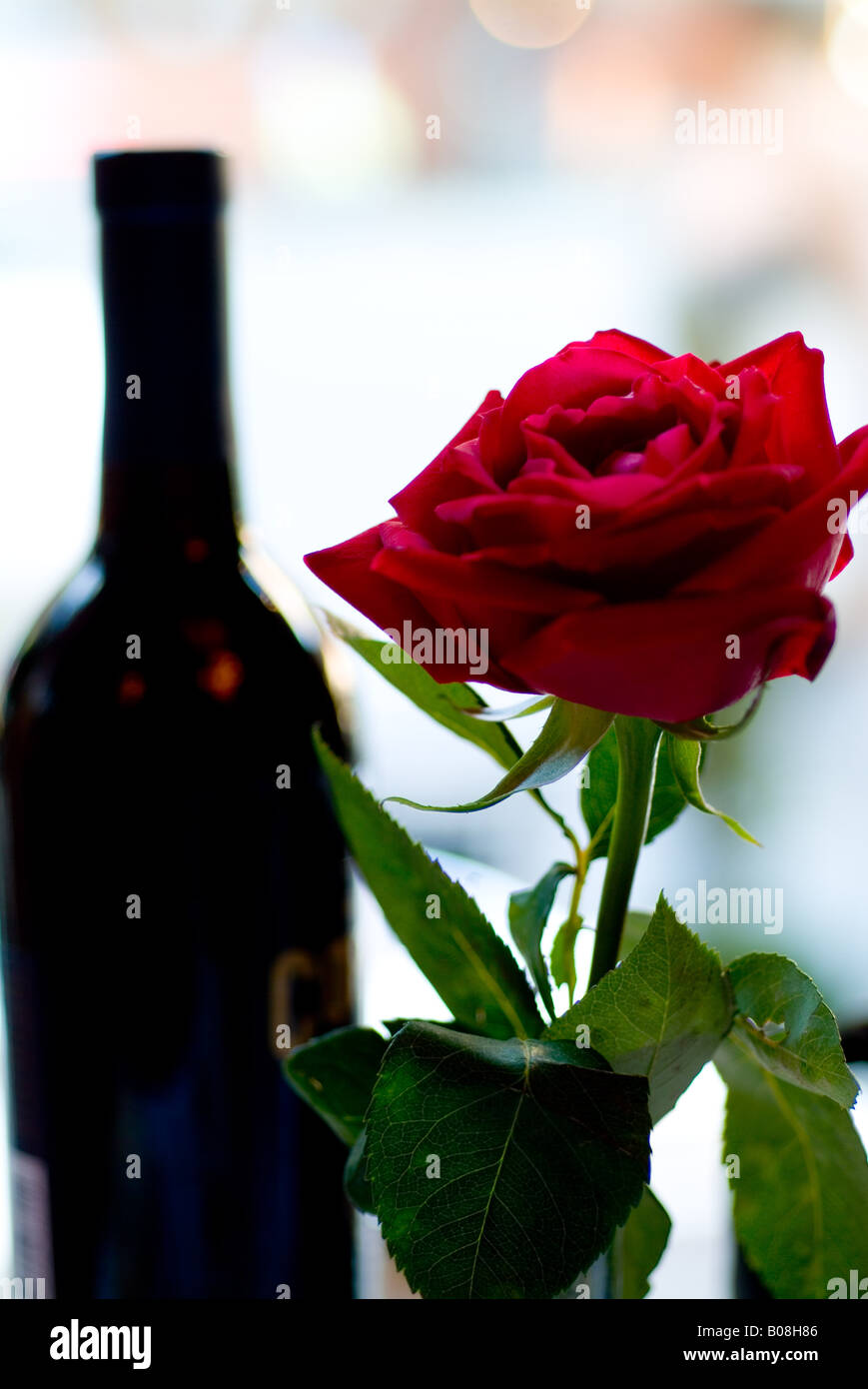 Red rose and red wine Stock Photo