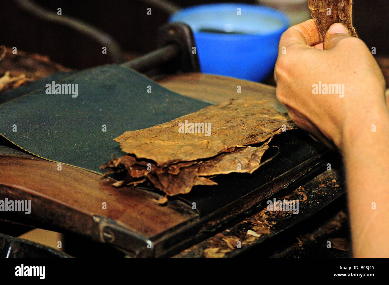 Hand-made cigars factory in Sao Felix city in Bahia, a northeastern State in Brazil. Stock Photo