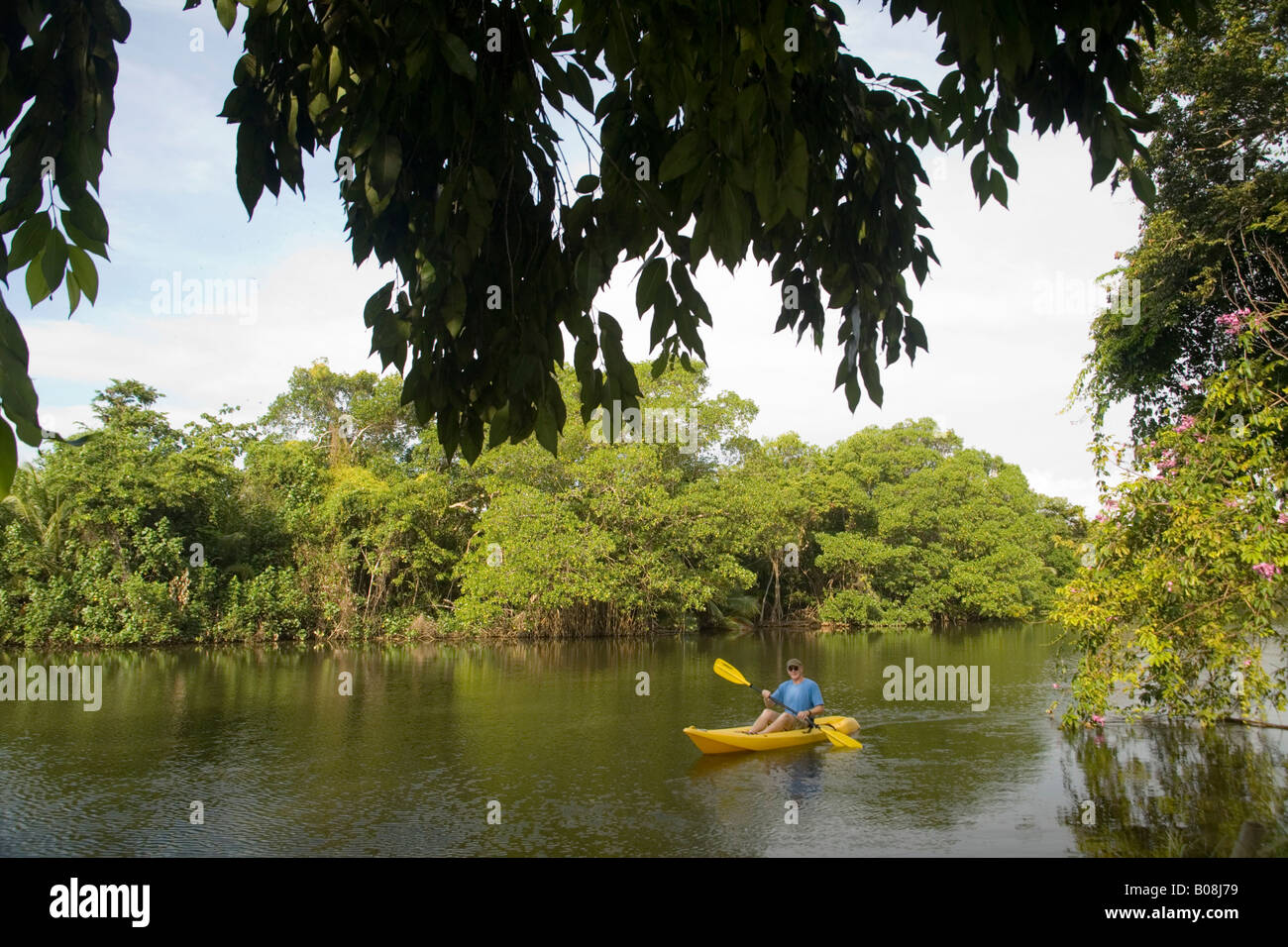 Man kayaking in Settee River, Jaguar Reef Lodge, Hopkins, Stann Creek