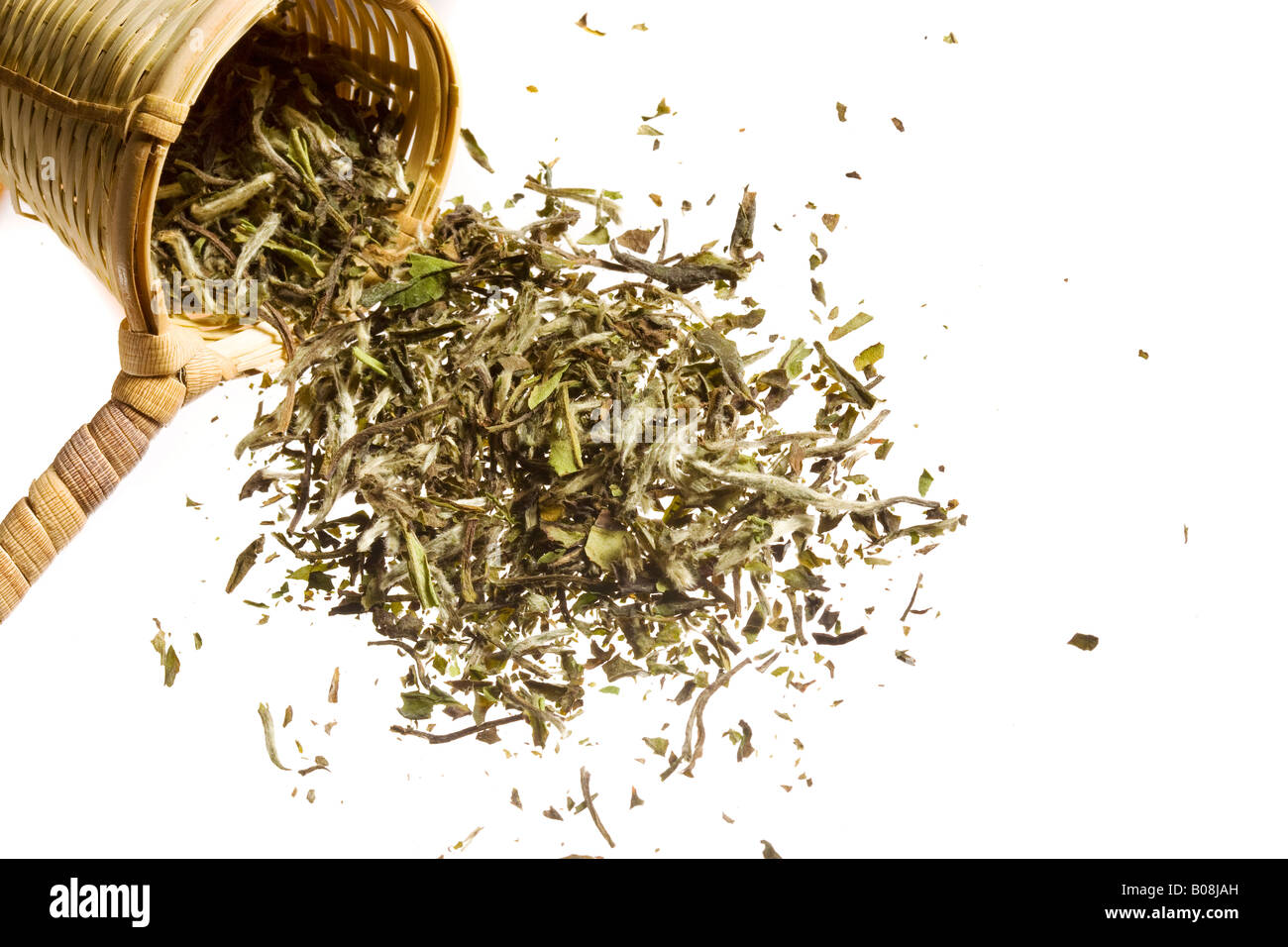 An overflowing heap of raw tea spilling out of a woven scooper. Stock Photo