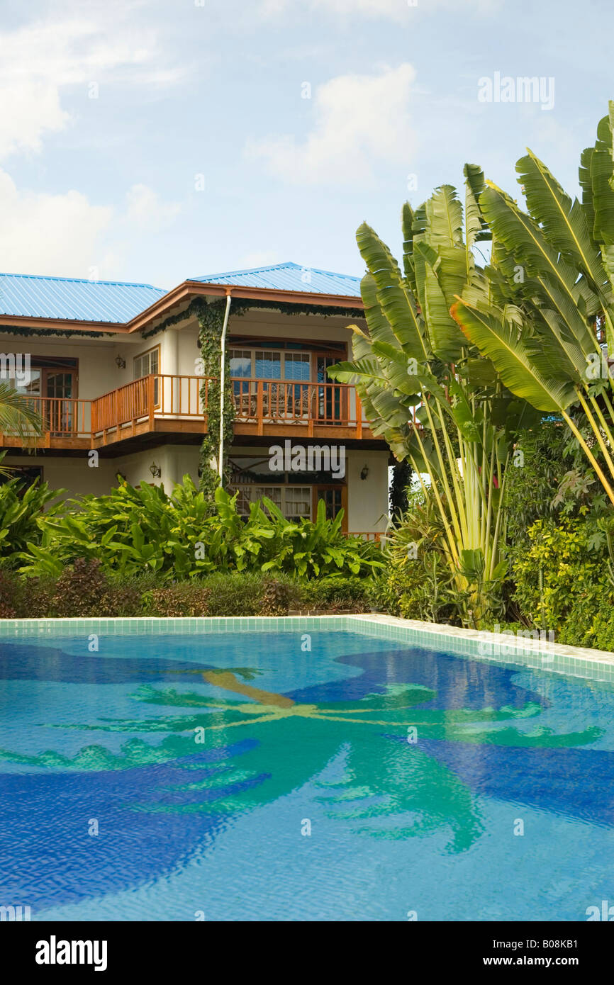 Swimming Pool With Decorative Tiles Of Palm Tree On Bottom Chabil