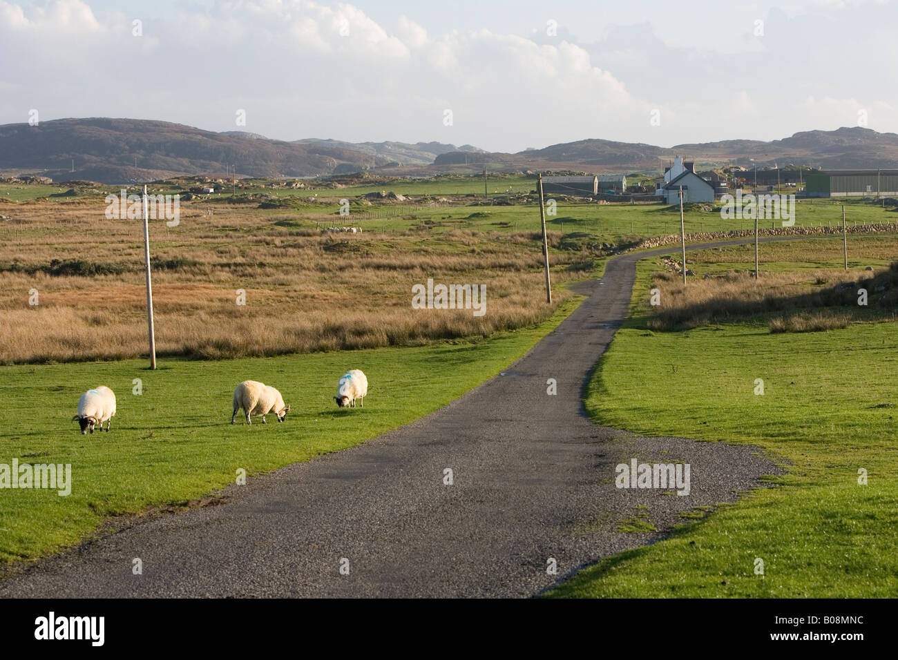 Rural road near Fionnphort, Isle of Mull, Scotland, UK Stock Photo