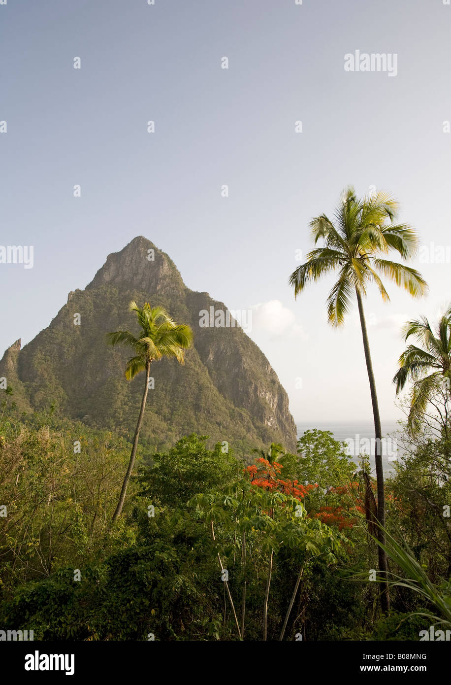 The Pitons, Soufrière, St Lucia. Caribbean Stock Photo Alamy