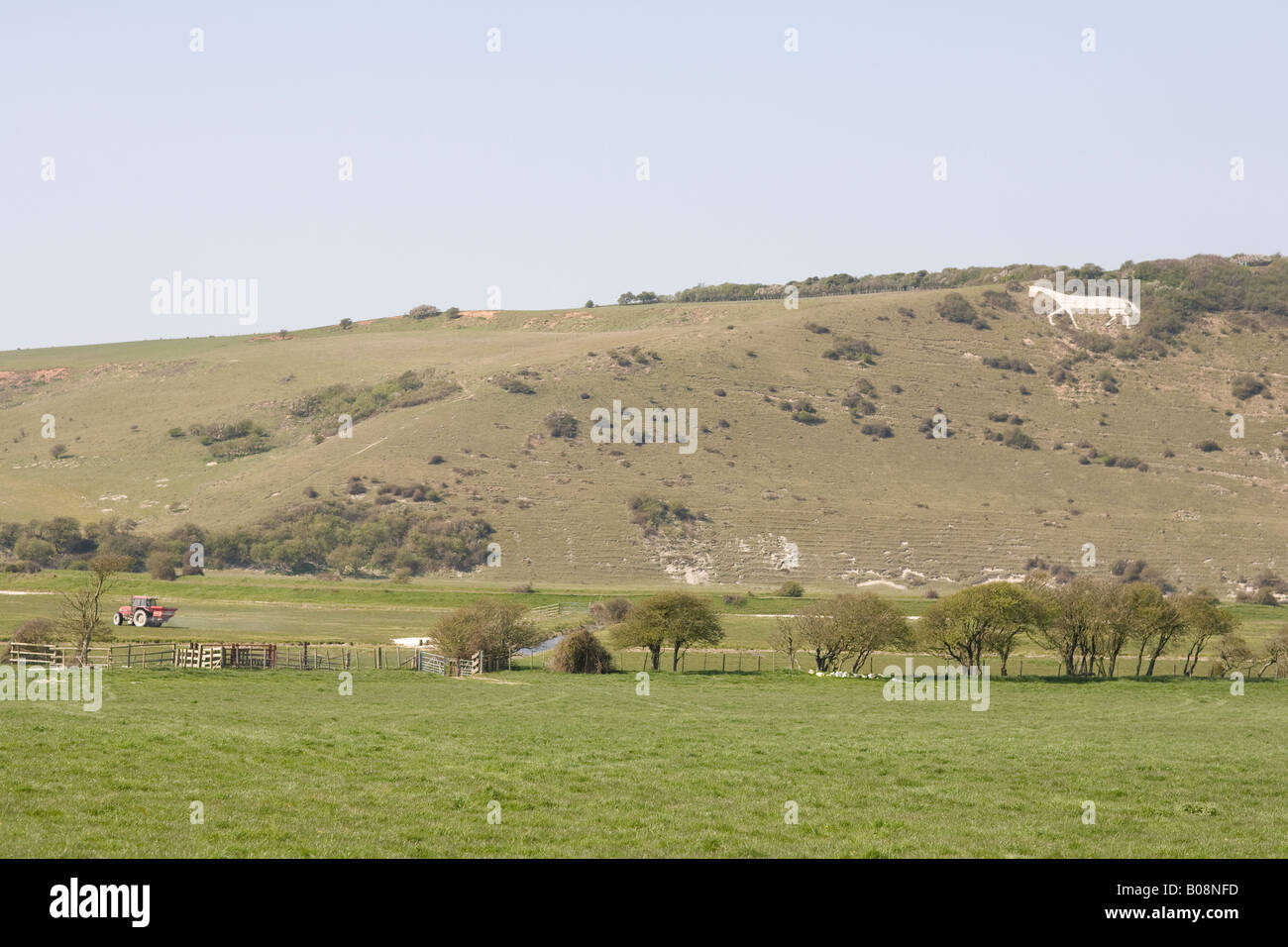 Litlington Chalk White Horse, East Sussex Stock Photo Alamy