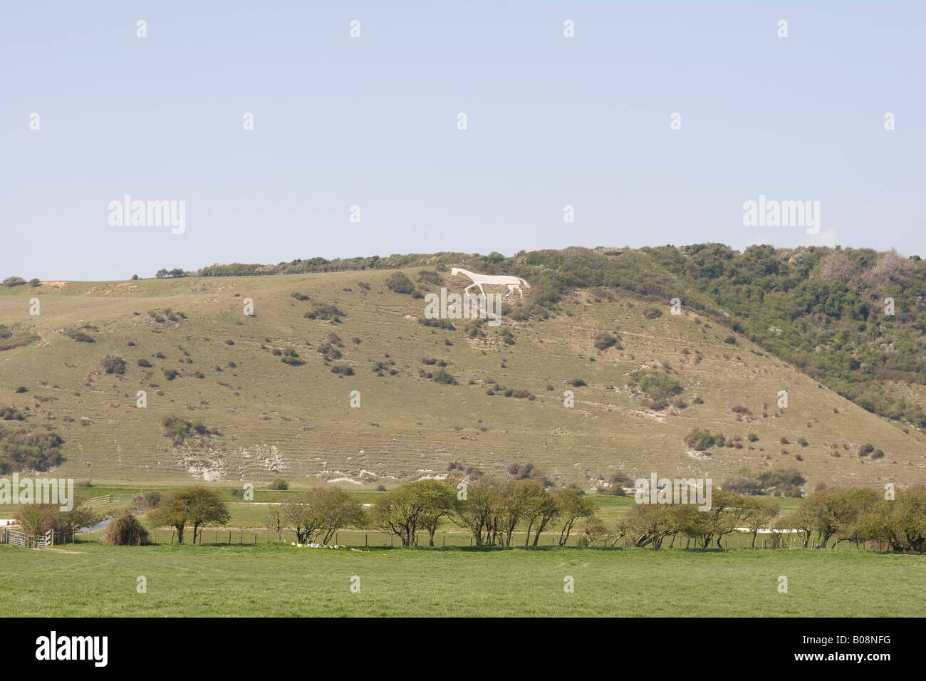 Litlington Chalk White Horse, East Sussex Stock Photo - Alamy