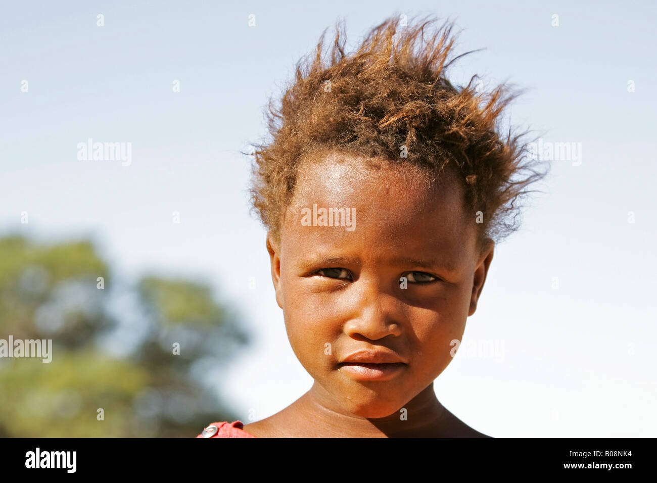 Young Namibian girl with unkempt spiky hair, Southern Namibia, Africa Stock Photo