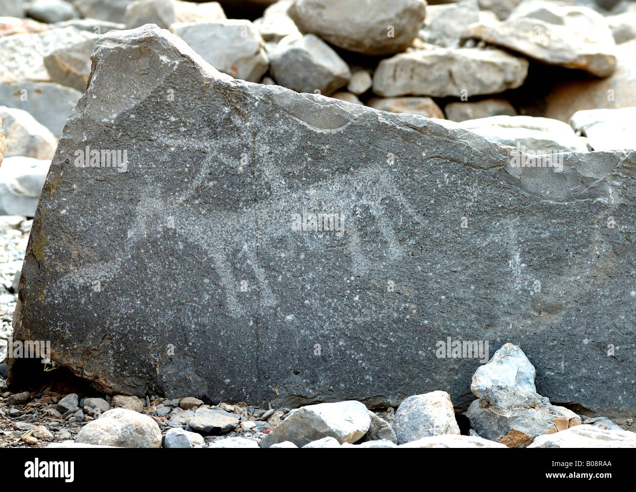 Rock carvings, petroglyphs, Tawi, Musandam, Oman, Middle East Stock Photo