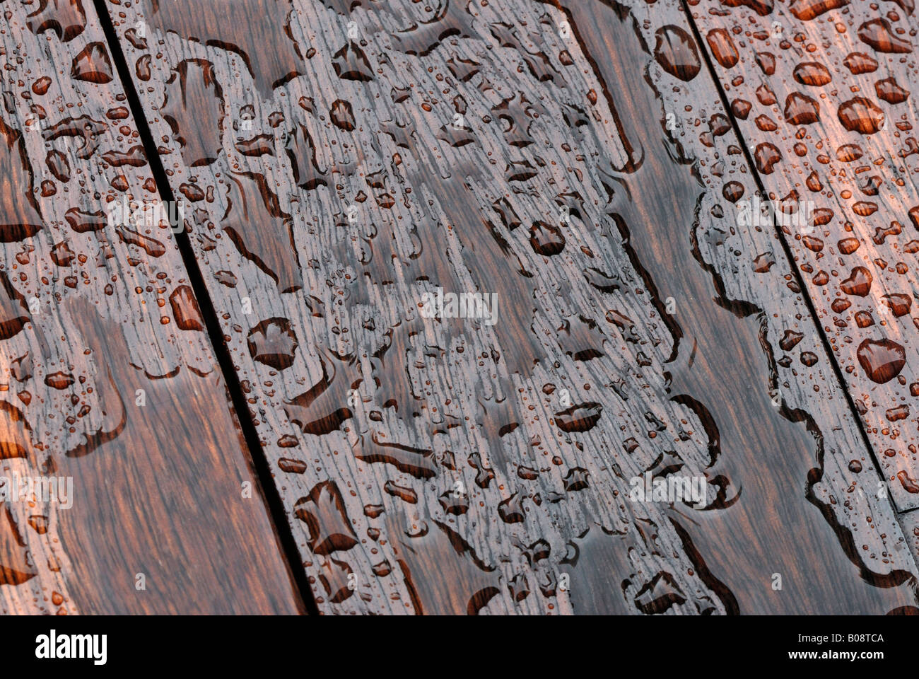 Water drops puddling on wooden boards (bankirai wood) Stock Photo