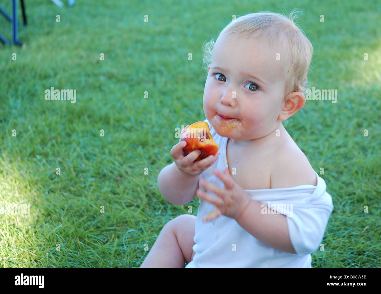 toddler baby eating peach nectarine [outside] Stock Photo Alamy