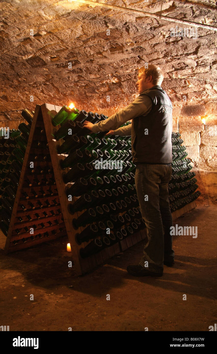 Cellarer conducting quality control in an old vault cellar, checking
