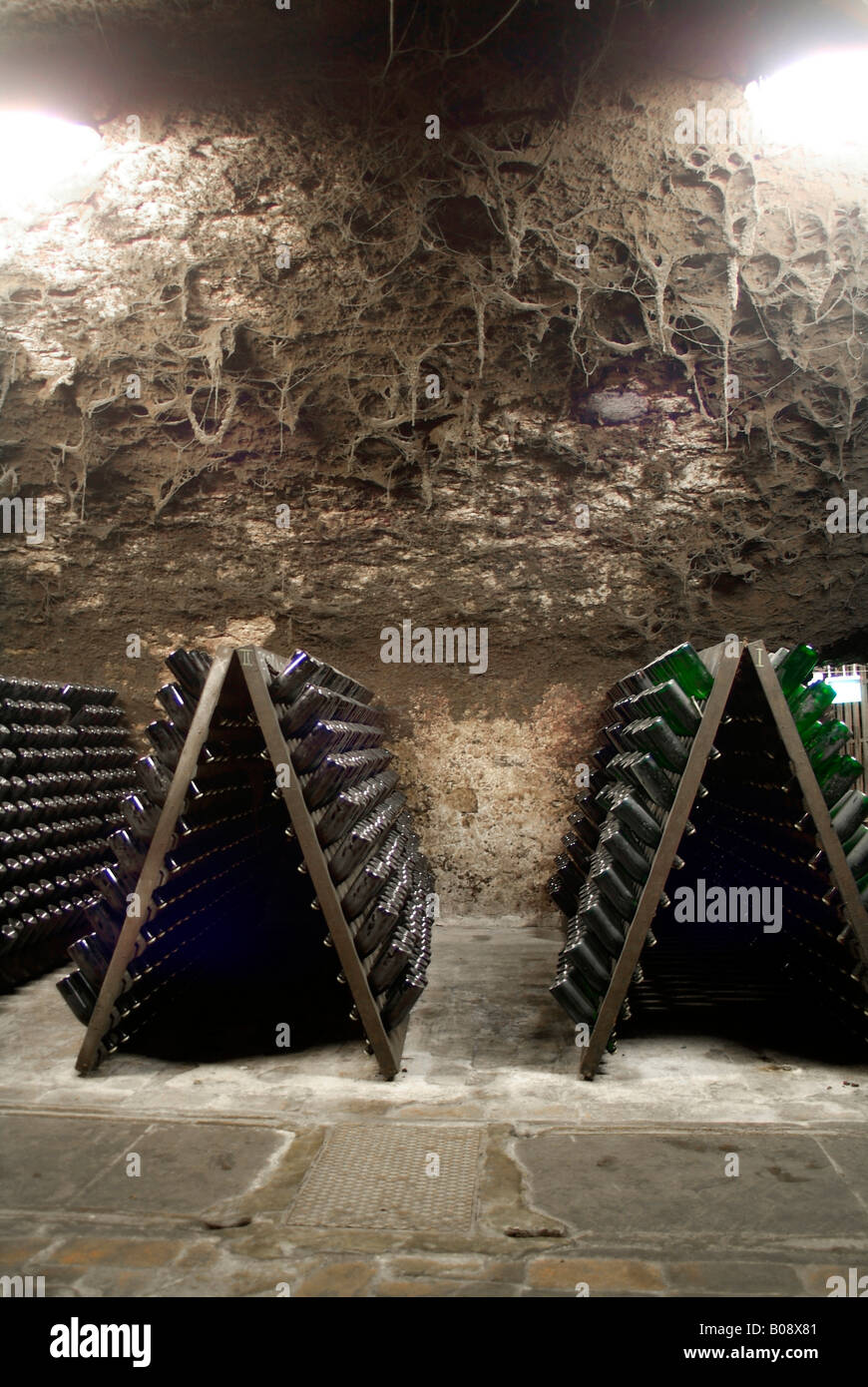 Wooden shelves for storing champagne bottles during the fermentation process in an old vault cellar, Kessler sparkling winery,  Stock Photo