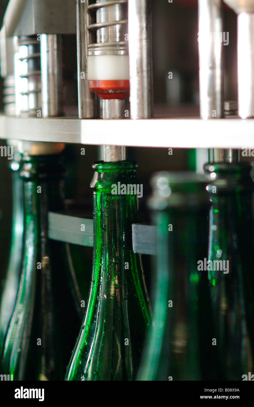 Cleaning and filling machine for champagne bottles, bottling factory at