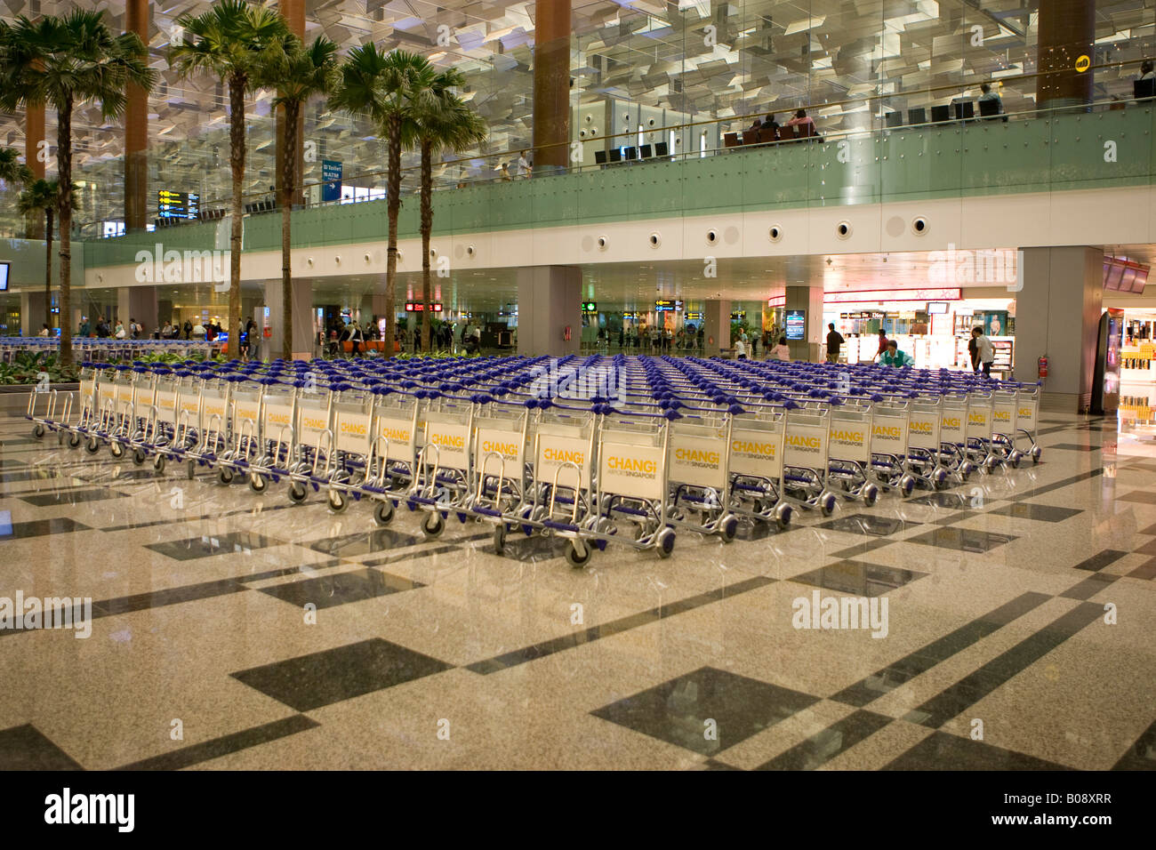 Rows of luggage trolleys beside palm trees inside Singapore Changi Airport, Singapore, Southeast