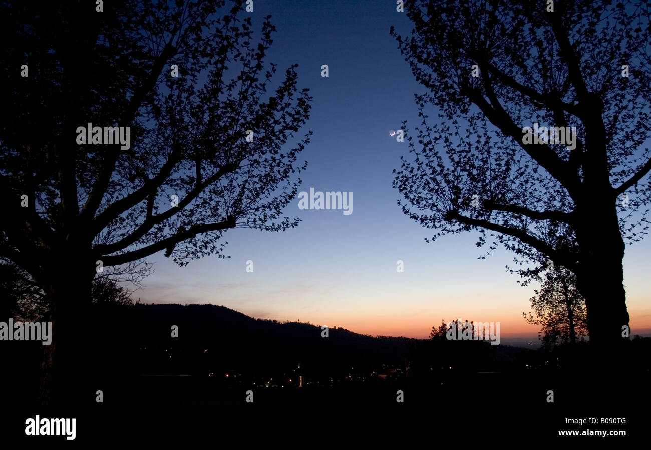 Moon and Venus in the evening sky over a group of  trees, Germany, Baden-Baden Stock Photo