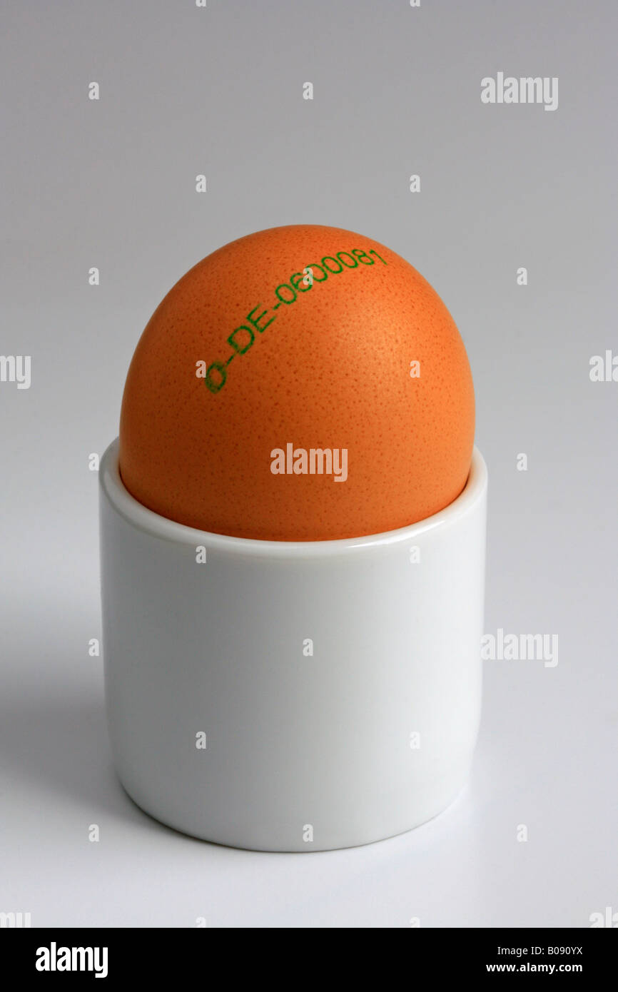 Organic brown egg with stamp of origin in an eggcup, country of origin: Germany, organic farming Stock Photo