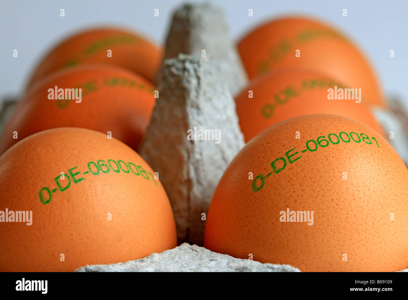 Organic brown eggs with stamp of origin in an egg carton, country of origin: Germany Stock Photo