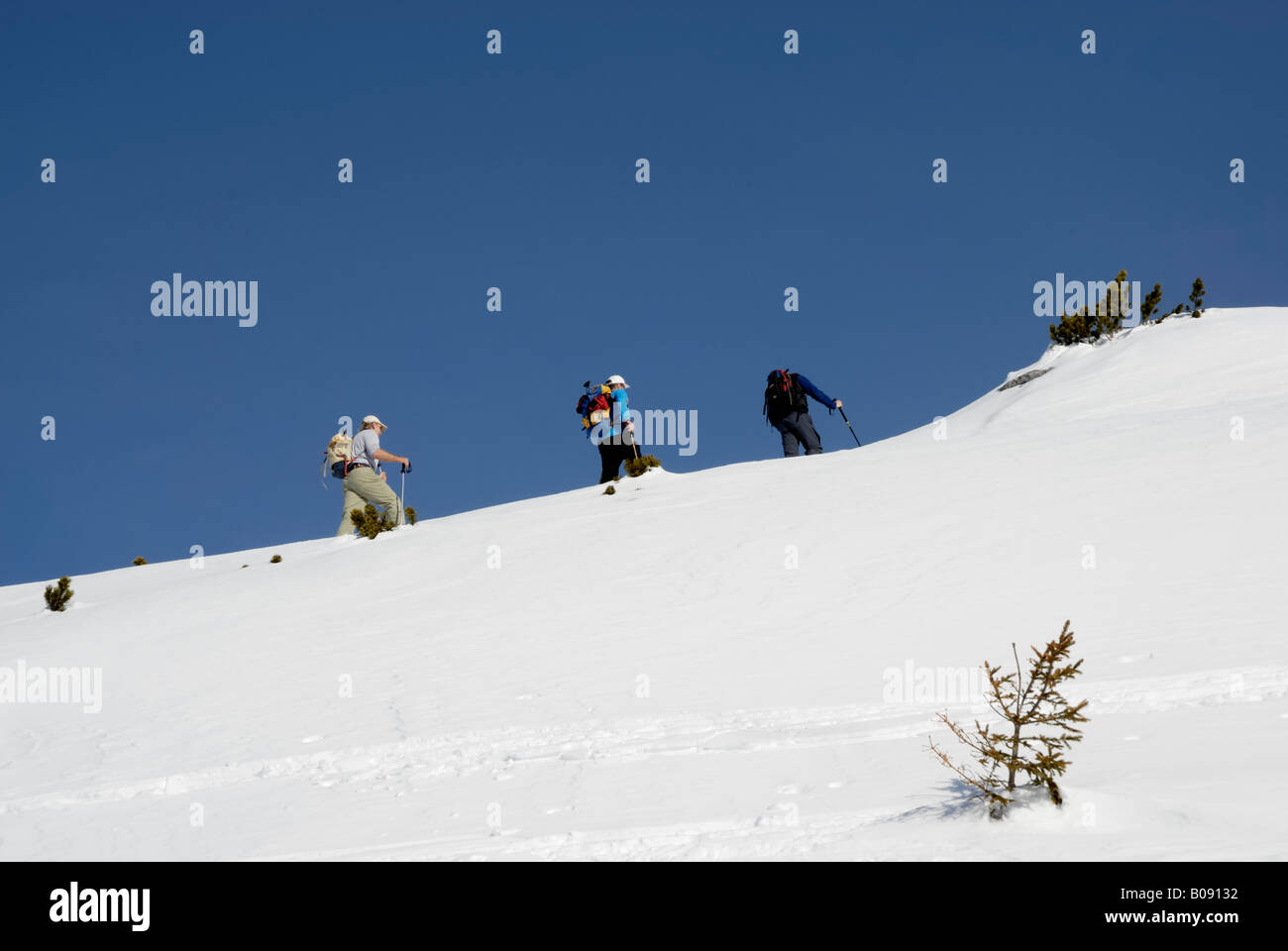 Mountaineers on skis climbing a snow-covered peak of the high alpine region in Rofan, Tyrol, Austria, Europe Stock Photo