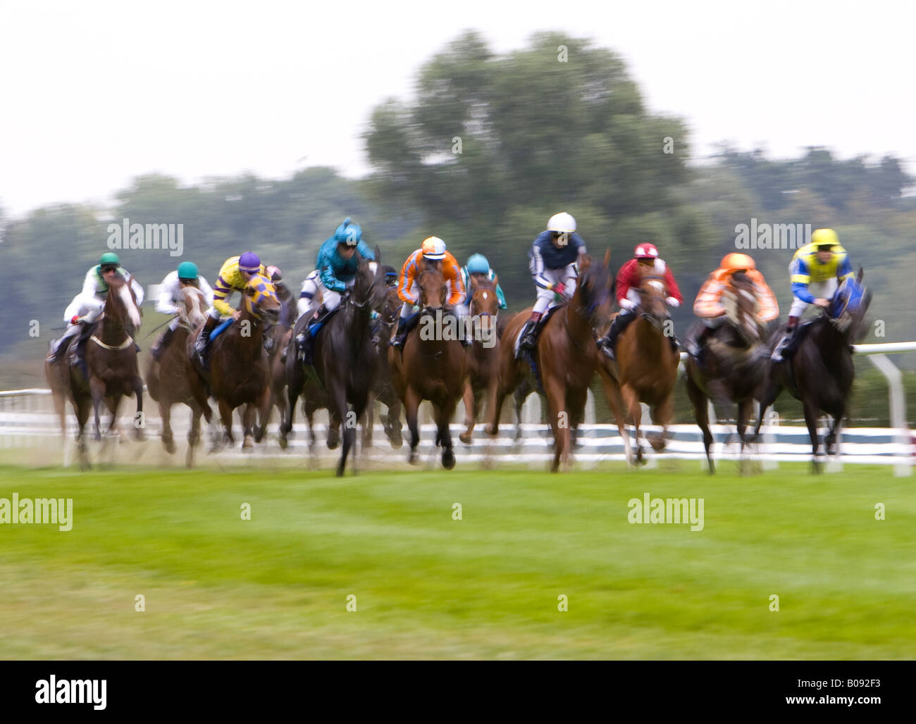Horse racing movement, Germany Stock Photo - Alamy
