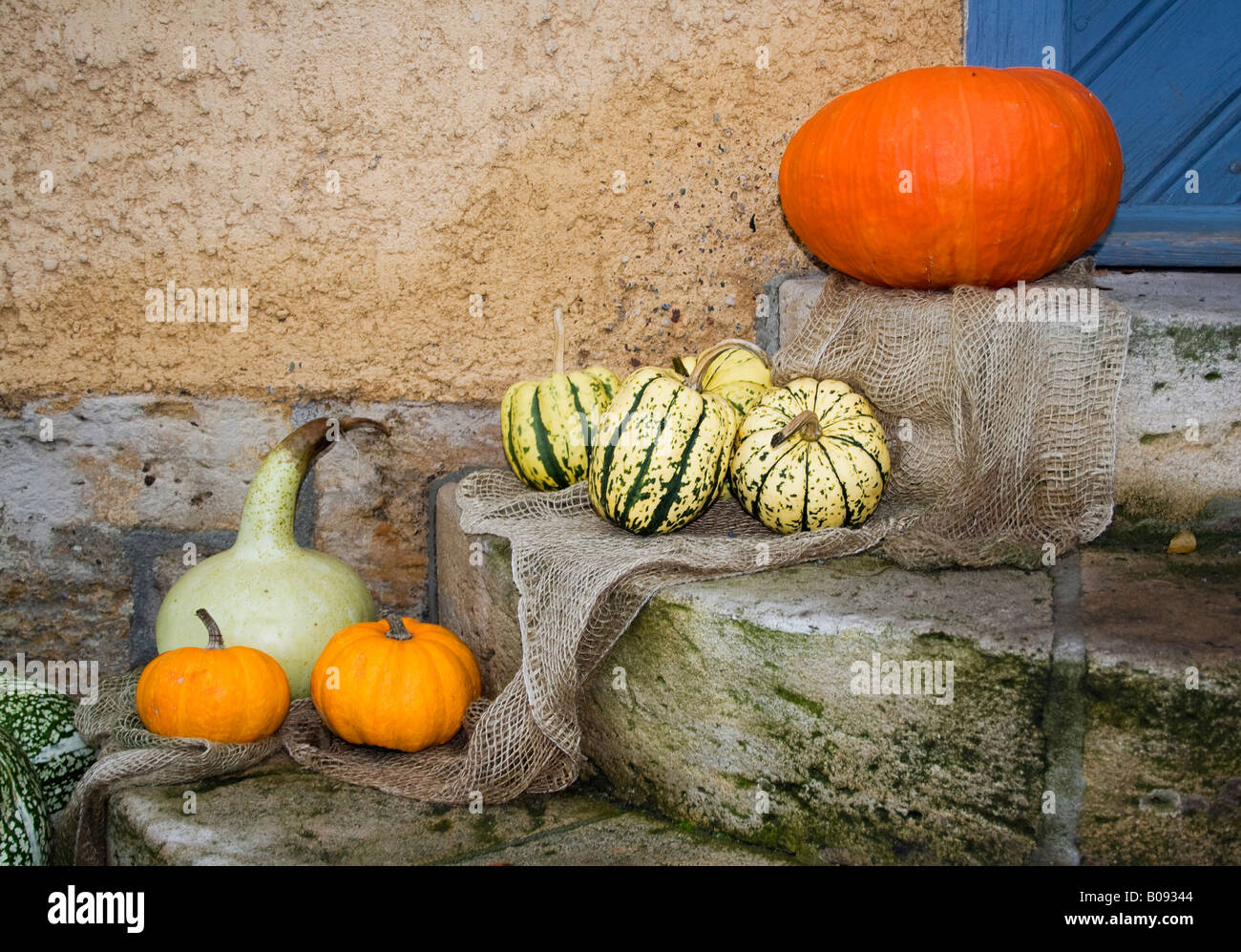 Assorted pumpkins (Cucurbita) placed on a net over stone steps as Autumn decoration Stock Photo