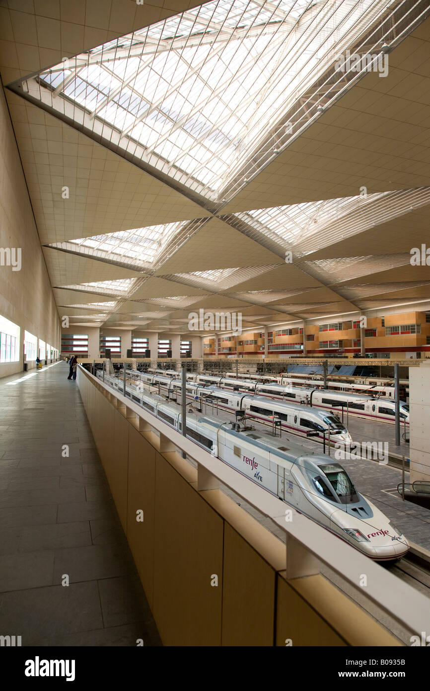 AVE high-speed train of the Spanish rail company Renfe in the Zaragoza-Delicias railway station, Zaragoza, Saragossa, Aragon, S Stock Photo