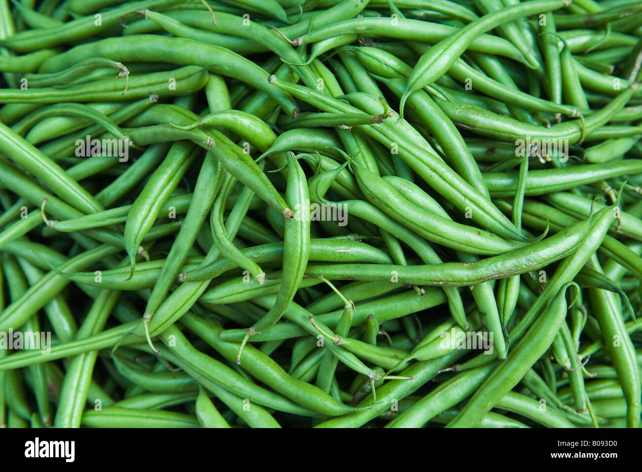 Common green beans (Phaseolus vulgaris) Stock Photo