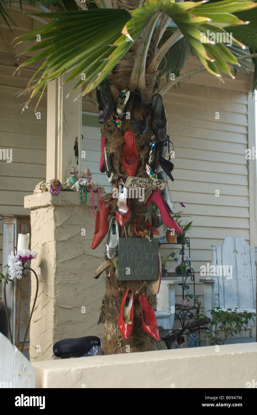 toms palm tree shoes