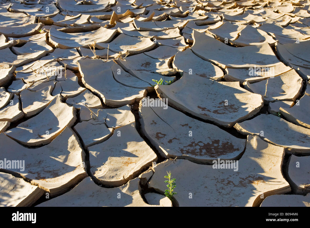 Dried up loamy soil in the dry riverbed of the Tsauchab River, Namib Desert, Namibia, Africa Stock Photo