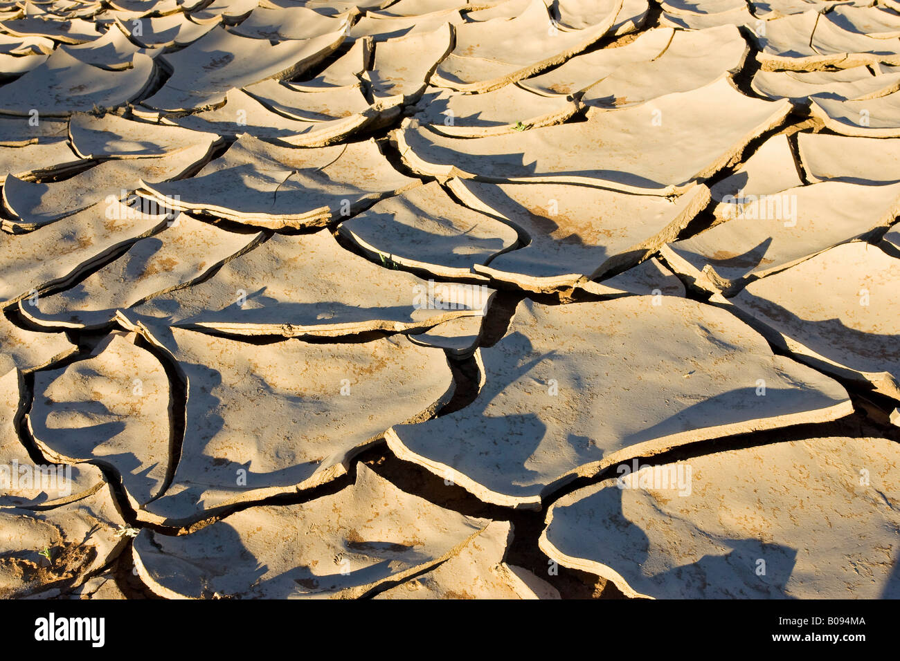 Dried up loamy soil in the dry riverbed of the Tsauchab River, Namib Desert, Namibia, Africa Stock Photo