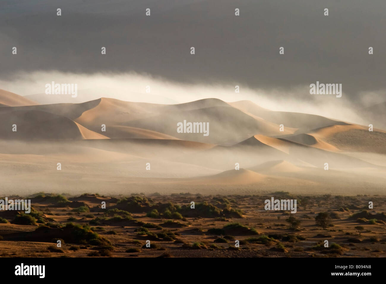 Coastal fog over sand dunes in Sossusvlei, Namib Desert, Namibia, Africa Stock Photo
