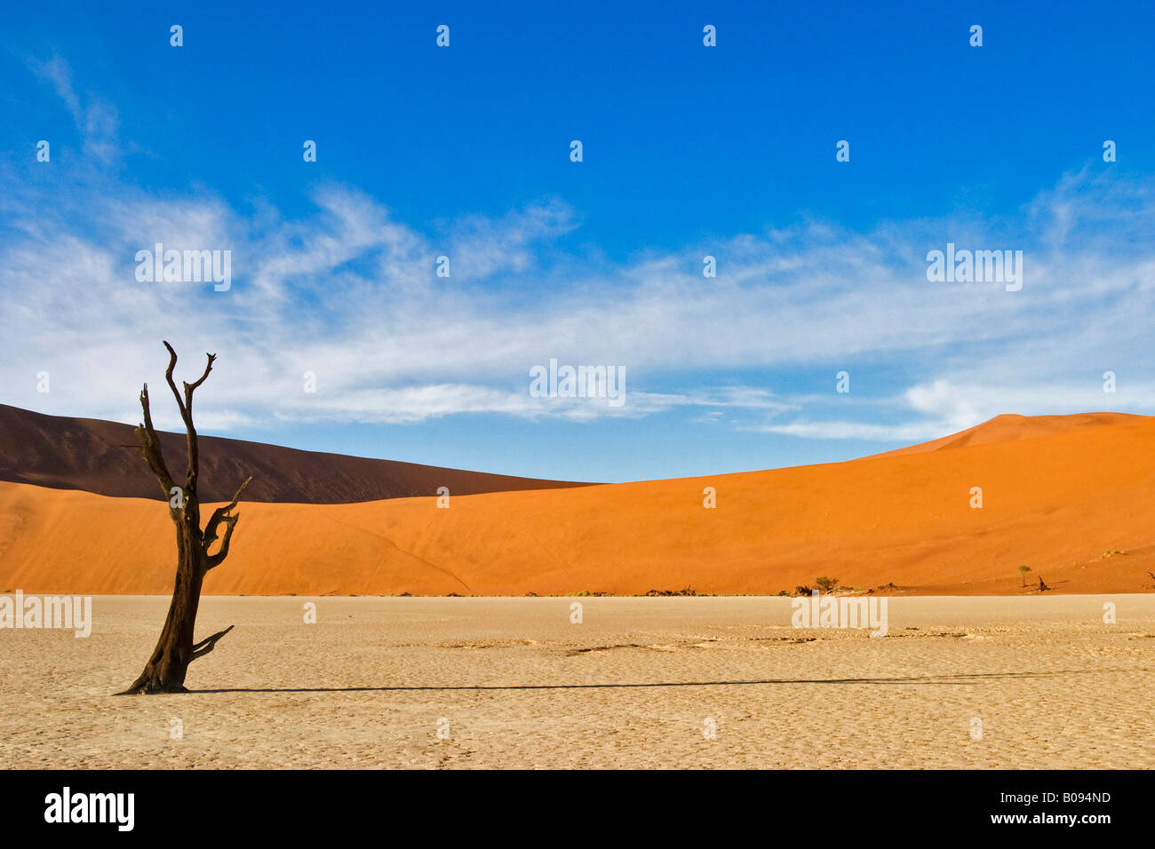 Dead tree on a dried up clay pan in Deadvlei, Namib Desert, Namibia, Africa Stock Photo