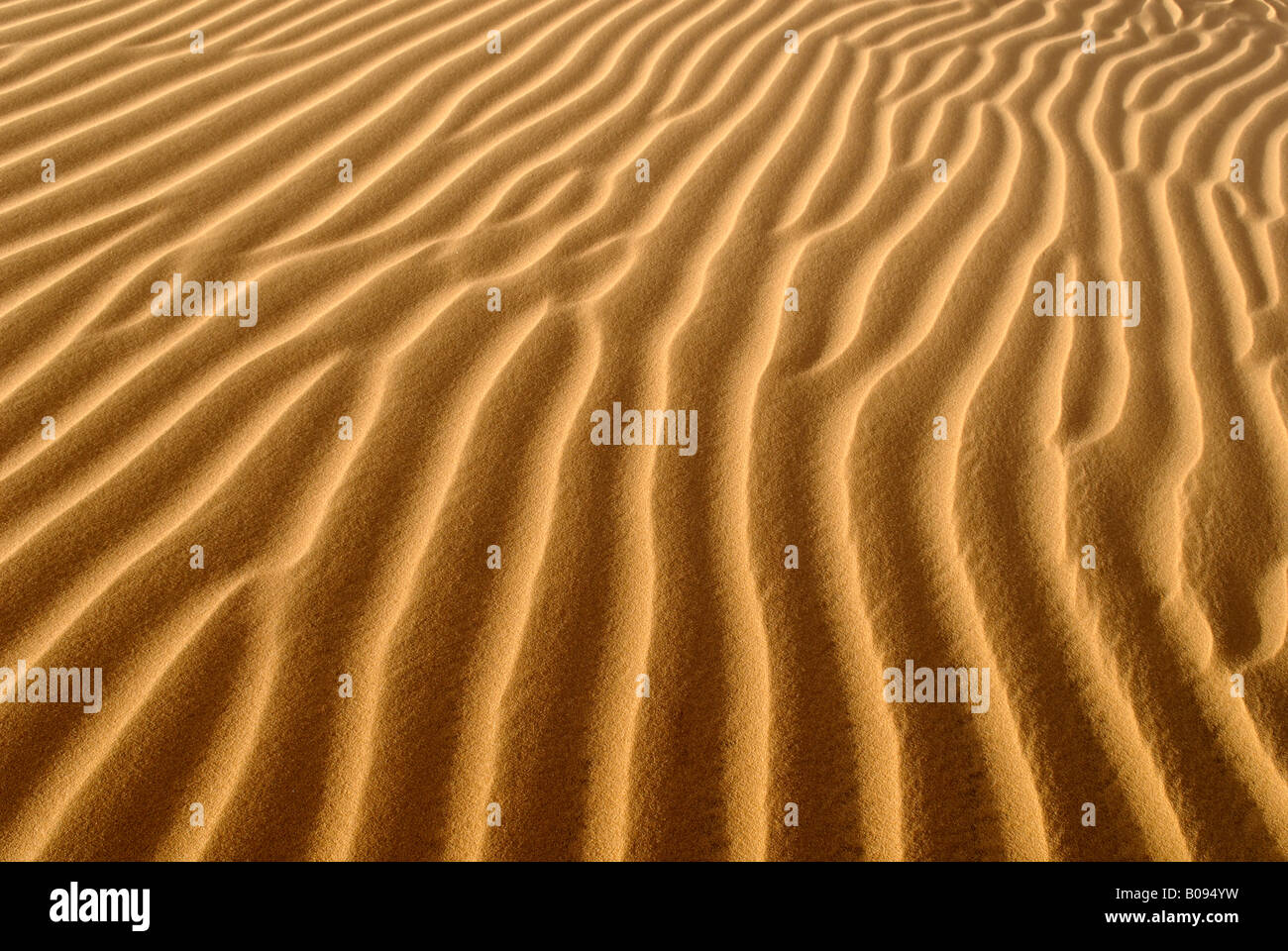 Sand dune ripples, Tin Akachaker, Tassili du Hoggar, Wilaya Tamanrasset, Algeria, North Africa Stock Photo