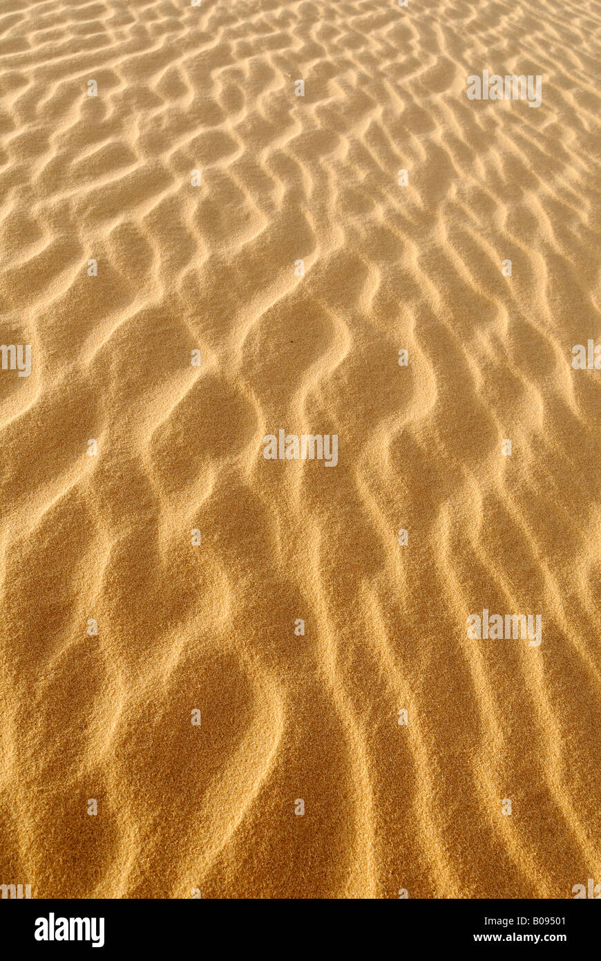Sand dune ripples, Tin Akachaker, Tassili du Hoggar, Wilaya Tamanrasset, Algeria, North Africa Stock Photo