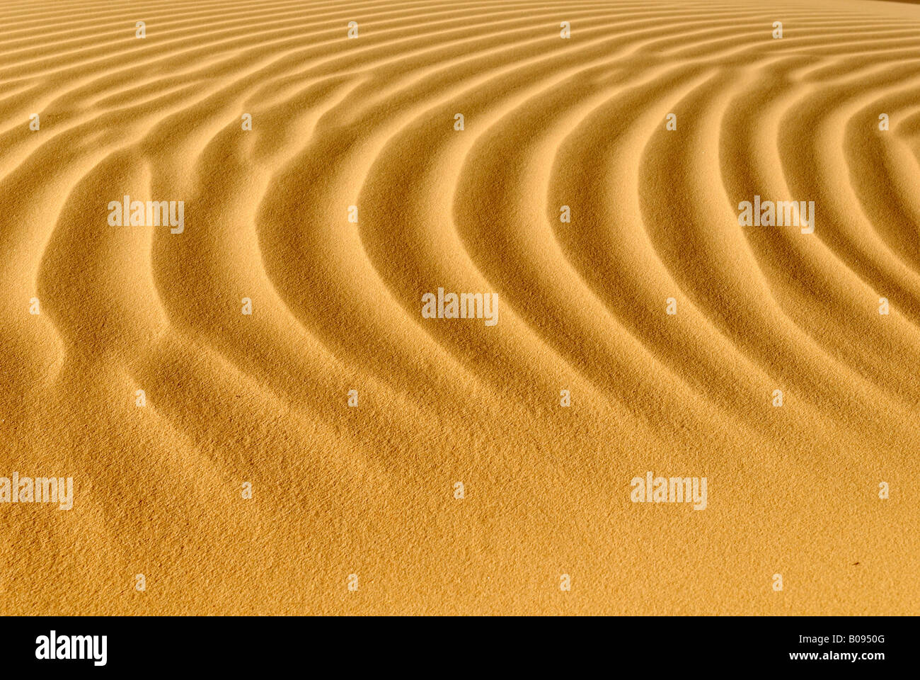 Sand dune, ripples, Tin Akachaker, Tassili du Hoggar, Wilaya Tamanrasset, Algeria, North Africa Stock Photo