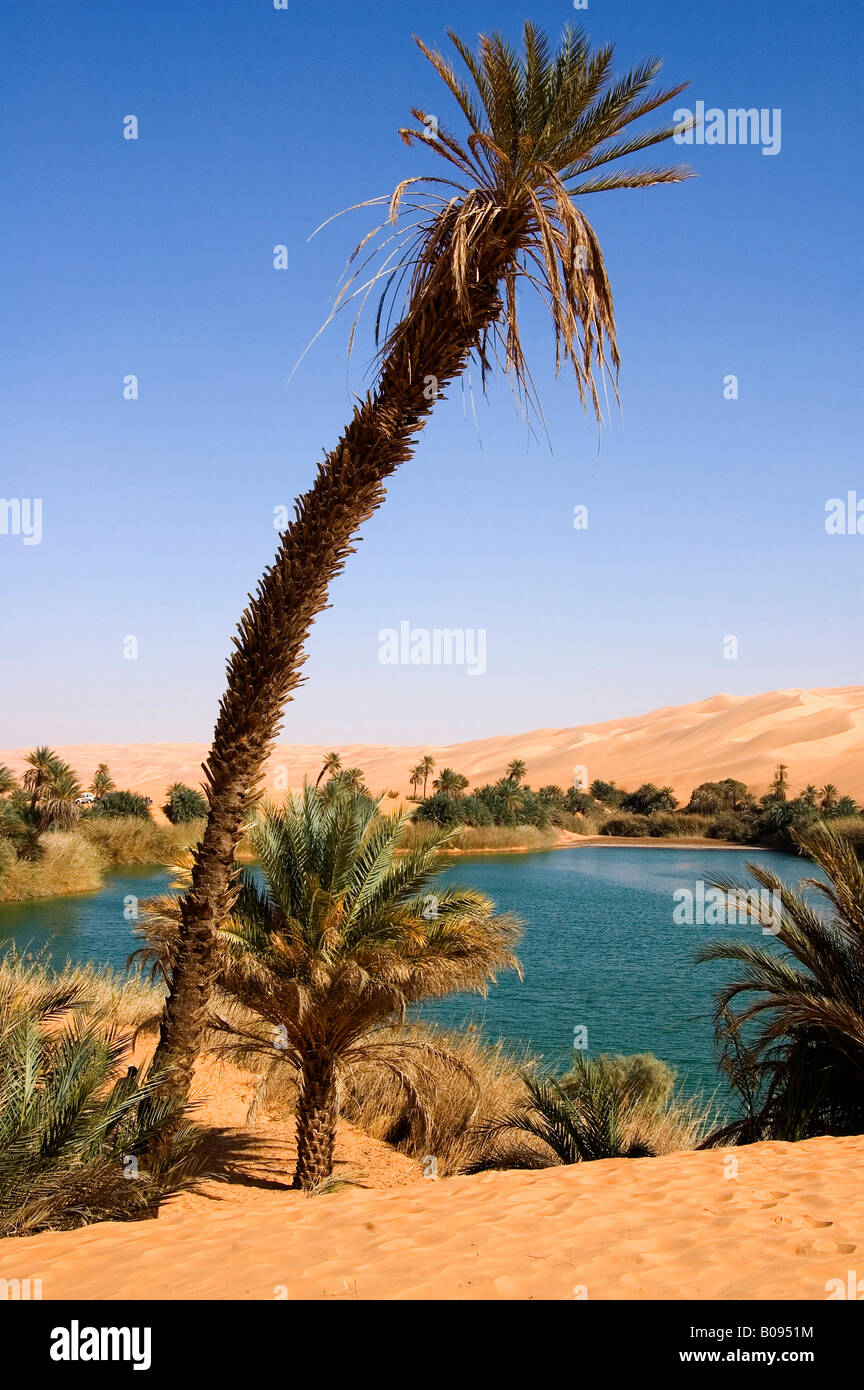 Mandara Oasis, Libya, North Africa Stock Photo