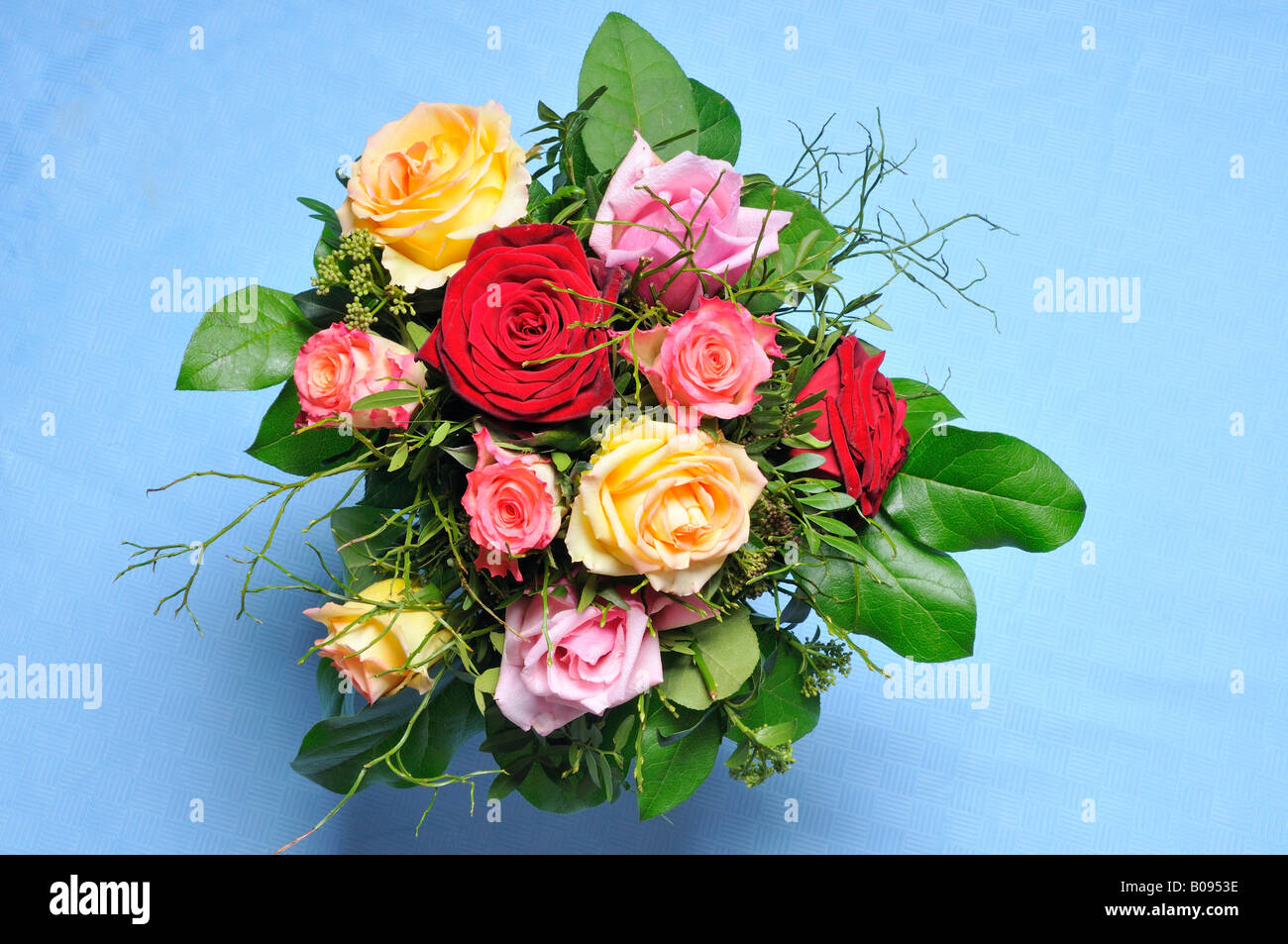 Bouquet of colourful roses set on a blue tablecloth Stock Photo